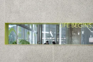 A modern office space featuring a glass wall with a green leafy plant and a motivational quote 'LIFE BEGINS HERE'.