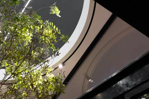 A modern indoor plant surrounded by sleek, minimalist design elements.