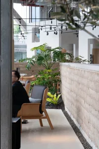 Modern interior design featuring empty seating areas with concrete walls and lush green plants.