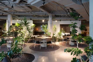 A modern industrial coworking space with concrete walls and ceiling, featuring round tables, chairs, and lush green plants.