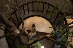 A modern tree lounge interior with a woman sitting indoors, surrounded by greenery and natural light.