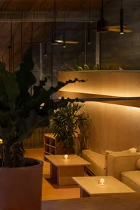 Modern restaurant interior with wooden furniture, potted plants, and warm lighting.