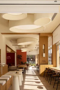 Modern coffee shop with wood materials and circular light fixtures