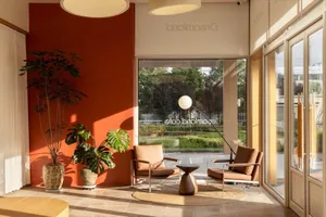 A cozy cafe interior featuring wooden tables and chairs, large glass windows, and green potted plants