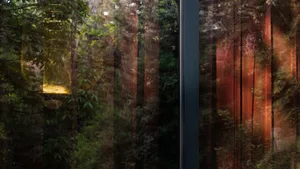 Fabric with red stripes in a window, showing a view of the forest outside.