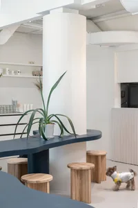 Modern coffee shop interior featuring wooden stools, a concrete column, and a potted plant.
