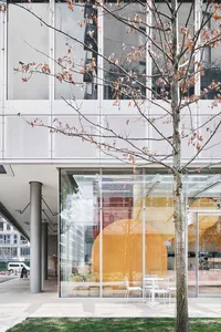 Modern office space featuring glass walls and concrete columns