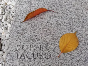 A granite slab adorned with autumn leaves, showcasing its natural beauty and texture.