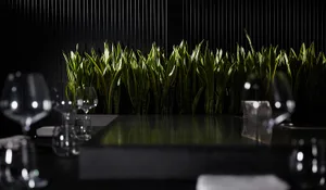 Modern restaurant bar with black glass countertop and green foliage decor.