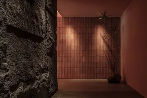 Minimalist interior space featuring a concrete wall and plant.