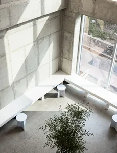 Modern office space featuring a concrete floor plan with white furniture and a green plant.