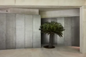 A modern concrete lobby features a large palm tree in the center of the room, surrounded by concrete walls.