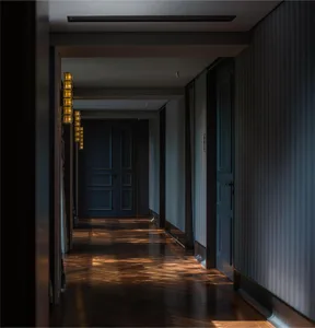 Modern design corridor featuring hardwood floors and modern lighting fixtures.