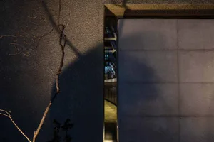 A modern architectural entryway featuring a textured concrete wall with a shadow of a barren tree extending onto the surface,