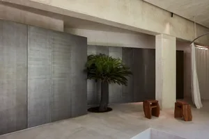 A modern living space with concrete walls and a palm tree in the center.