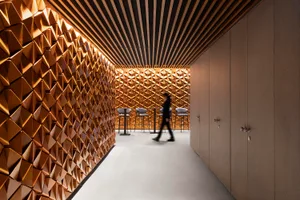 A modern office interior with sustainable wood elements.