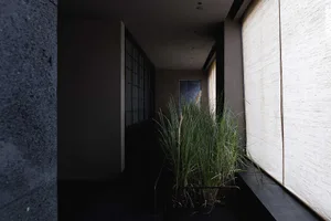 A minimalist interior with concrete walls and a plant pot in the foreground.