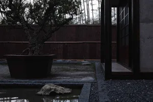 A minimalist landscape design featuring concrete elements and a bonsai tree.