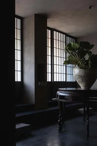 A modern industrial lobby featuring stone walls and a large vase with green plants.