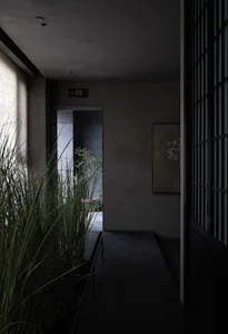 A minimalist corridor with dark shadowy tones and concrete tiles, featuring a tall green plant beside an open doorway.