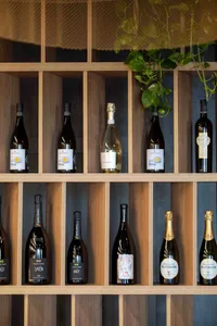 Wine bottles arranged on a wooden shelf with greenery hanging overhead.