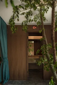 A modern restroom with wooden walls and a green plant, illuminated by soft lighting through a window.