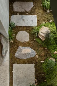 A garden floor plan featuring stones and moss.