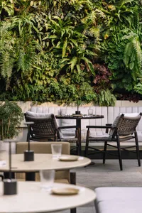 A cozy cafe with greenery plant walls and comfortable seating cushions.
