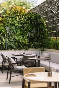 A modern restaurant with a floating ceiling, showcasing contemporary design elements and a sophisticated ambiance.