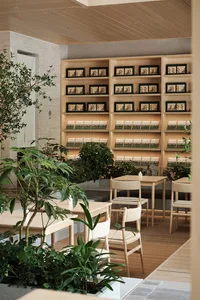 A coffee shop with a natural wood interior, featuring wooden tables, chairs, and shelves with greenery.
