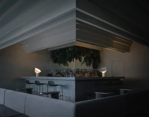 Industrial-style bar area with concrete countertops, greenery, and minimalist design elements.