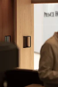 A modern interior door handle mounted on a wooden door.