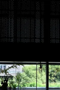 Modern minimalist interior design with large glass windows and plants.