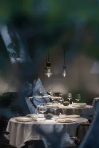 Modern restaurant interior with white tablecloths, dark wood chairs, transparent hanging lights, and green plants
