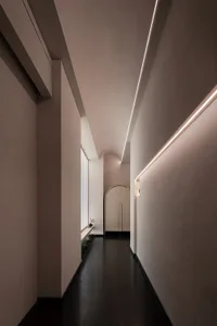 A minimalist interior design featuring concrete walls and floor, with linear lighting and a small green plant.