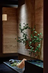 A minimalist interior design featuring wooden paneling and a plant display.