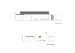 Hall elevation views showcasing architectural design and interior layout.