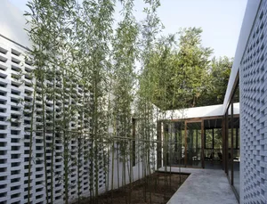 Modern bamboo exterior with concrete and glass elements