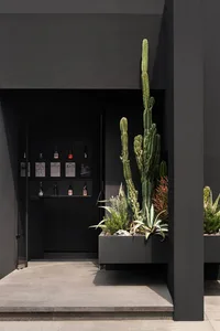 Concrete planter with cactus and succulents in front of modern entryway