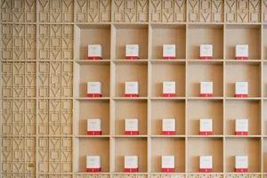 A modern, minimalist interior design showcasing packaging on wooden shelves.