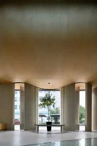A minimalist lobby with wooden elements, featuring a tree on a table.