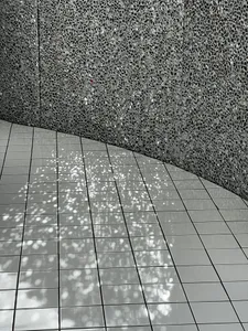 Grey ceramic floor tiles intersected by shadows from trees, against a textured wall.