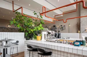A modern cafe bar with tiled surfaces, concrete finishes, and potted plants.