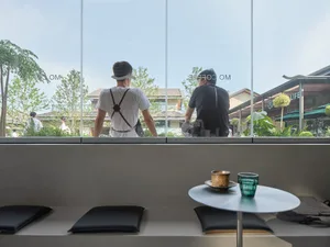 A modern cafe interior with large glass windows overlooking the street and greenery outside.