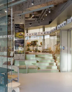 A modern lobby with concrete walls and steps, featuring green indoor plants and natural light.