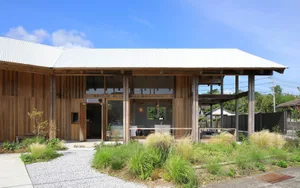 A modern architectural building constructed with wood