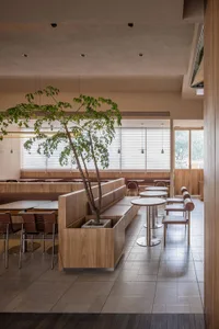 A modern restaurant interior featuring wooden furniture and a potted plant.
