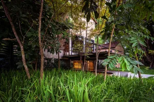 A modern residential brick house surrounded by lush greenery and tall grasses.