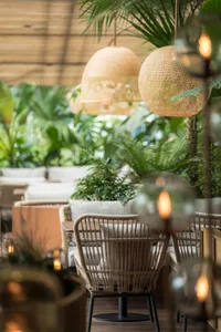 A cozy cafe interior with wicker furniture, greenery, and woven pendant lights.