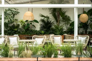 Modern industrial design cafe interior with wicker furniture and green plants